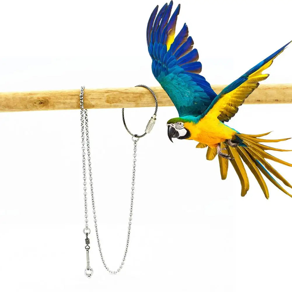 1 Pcs Pet Parrot Leg Ring Ankle Foot Chain Bird Ring Outdoor Flying Training Activity Opening Stand Accessories Bird Supplies